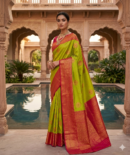 Parrot green kanchipuram soft silk saree